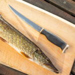 678c911cdeb2924a1366656d600d9076